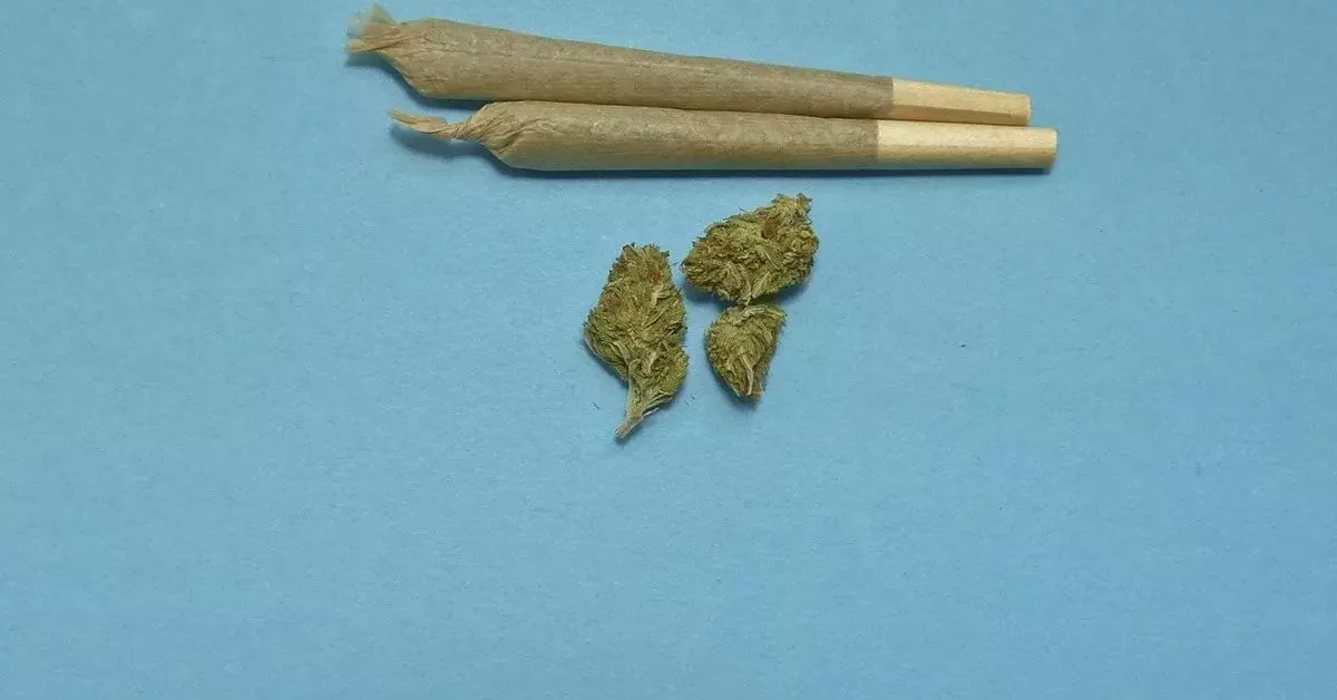 Korzyści zdrowotne żelek cbd