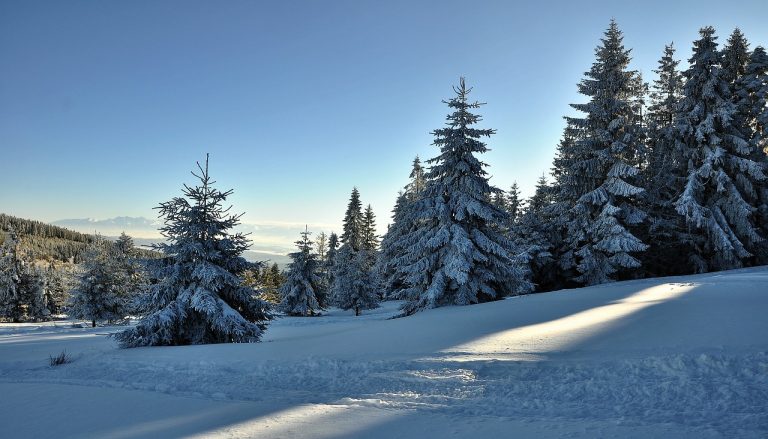 Apartamenty z dostępem do SPA – relaks po całym dniu chodzenia po górach